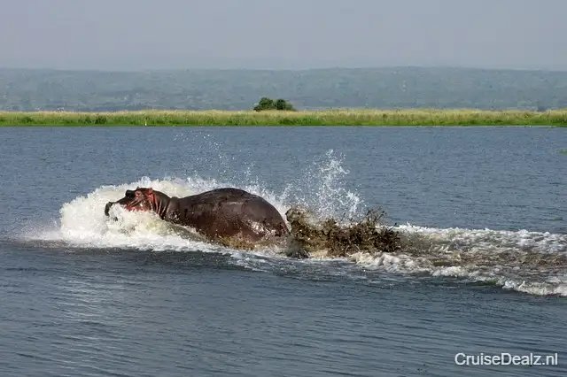 Bodemprijs cruise vakantie Afrika 🛳️ 14 Dagen met de Norwegian Sky