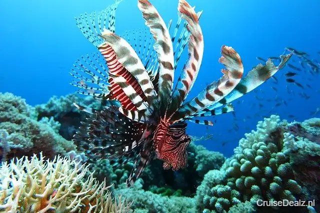 17 daagse Afrika cruise met de Norwegian Sun