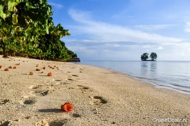 Allerbeste deal cruisevakantie Afrika ☀ 6 Dagen met de MSC Musica