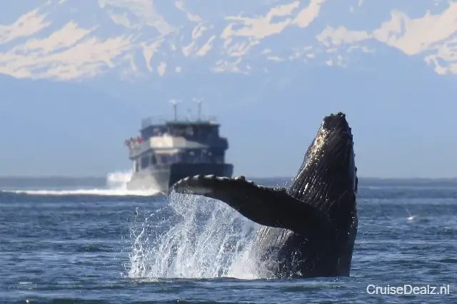 Vroege vogels deal cruise Alaska 🛳️ 8 Dagen met de Silver Nova