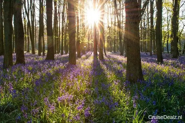 Ongelooflijke actieprijs cruise vakantie Azië 🛳️ 34 Dagen met de Seabourn Quest