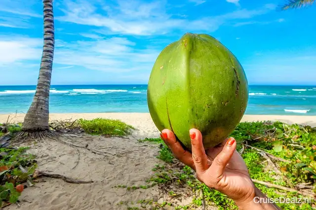 Secret deal cruisevakantie Canarische Eilanden 🛳️ 15 Dagen met de Mein Schiff 1