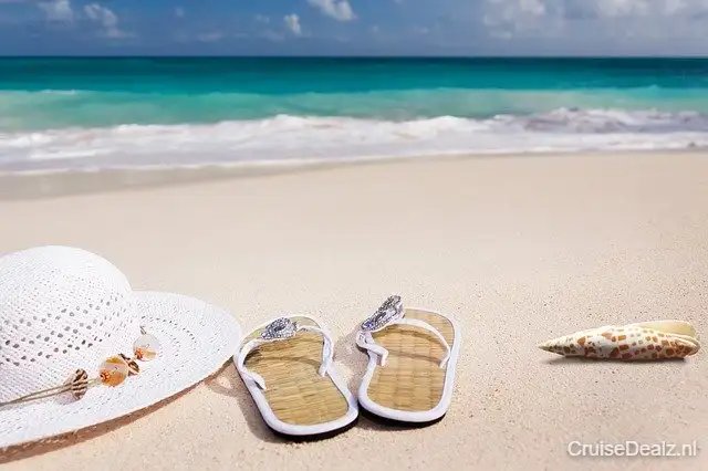 Cruise Caribbean - Verenigde Staten € 3125,- 【vertrek 6 februari 2026】