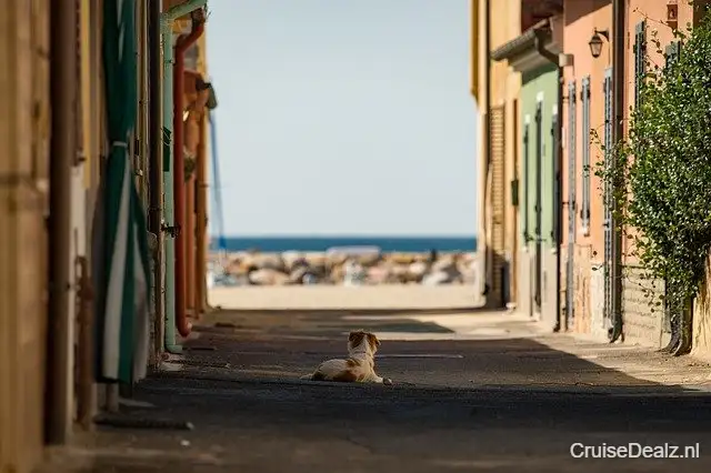 Goedkoopste cruise Middellandse Zee ☀ 8 Dagen met de Costa Toscana
