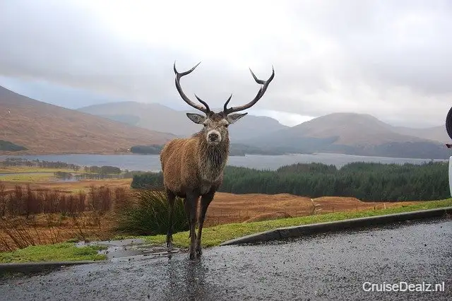 Enorme korting cruisevakantie Noord-Europa ⛱️ 11 Dagen met de MS Marina