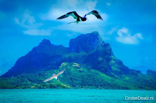 impressie Seabourn Pursuit