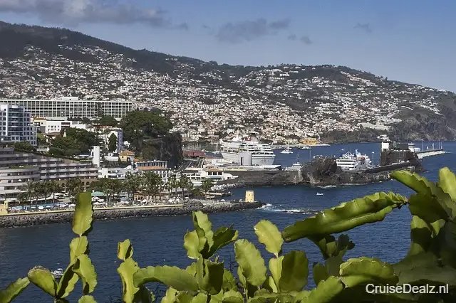 impressie MSC Preziosa