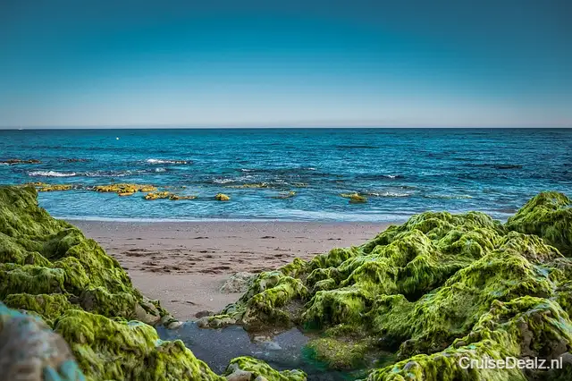 Geweldige aanbieding cruise naar Transatlantisch 🛳️ 17 Dagen met de Costa Diadema