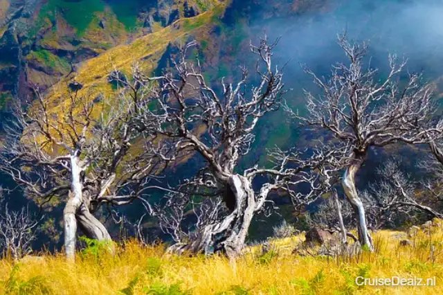 impressie Seabourn Quest