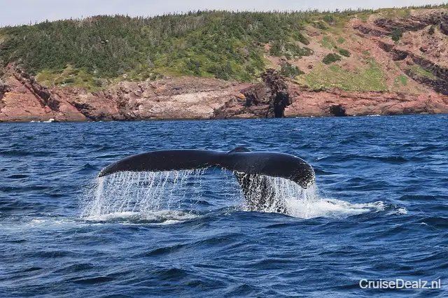 Waanzinnige korting cruisevakantie Transatlantisch ⭐ 9 Dagen met de Voyager of the Seas