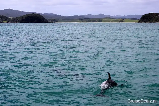 Ideaal op cruisereis Wereldcruise Grand Voyage 🛳️ 27 Dagen met de Seabourn Sojourn