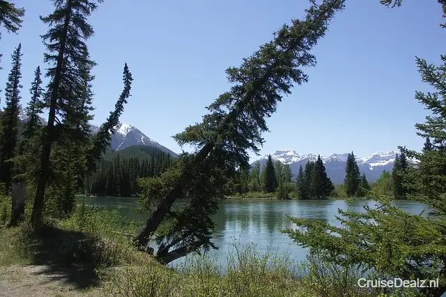 5 daagse Westkust VS cruise met de Disney Magic