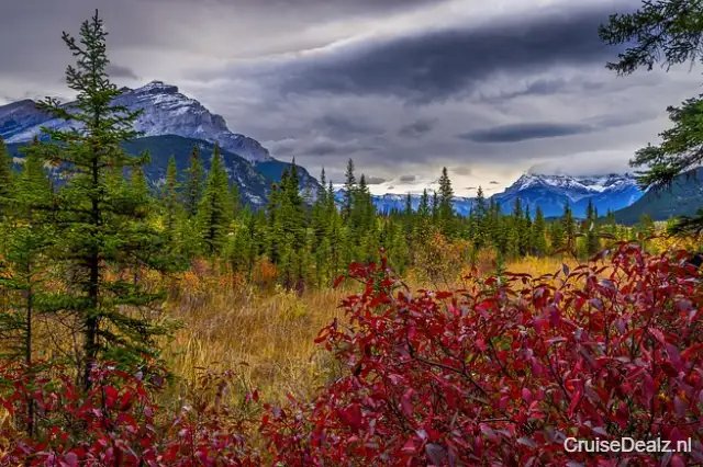 impressie Disney Wonder