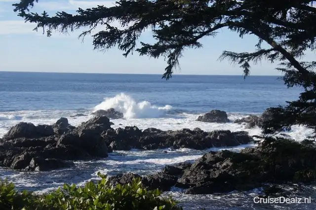 impressie Voyager of the Seas