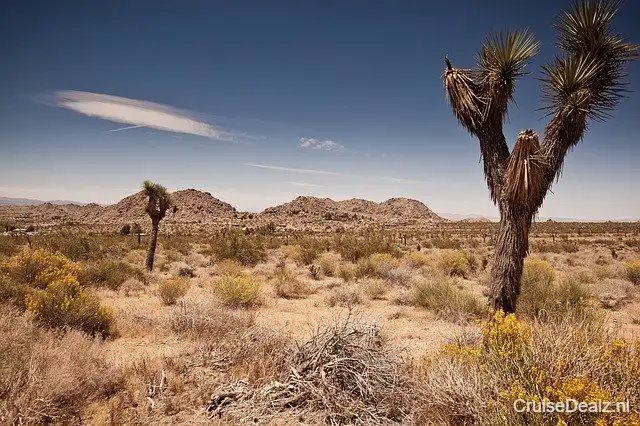 impressie Carnival Radiance