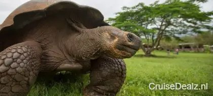 galapagos eilanden